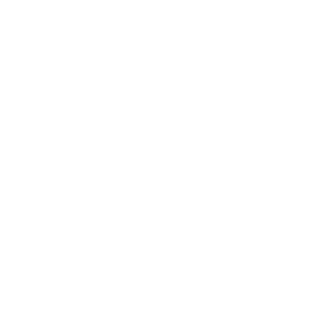 Partner AILSA